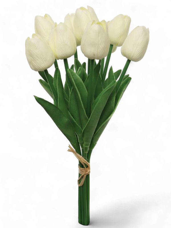 Tulip Bundle x9 Cream 13"