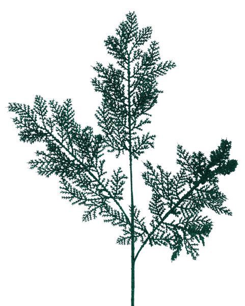 Glitter Fern Spray-Hunter Green