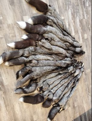 Silver Fox Fur