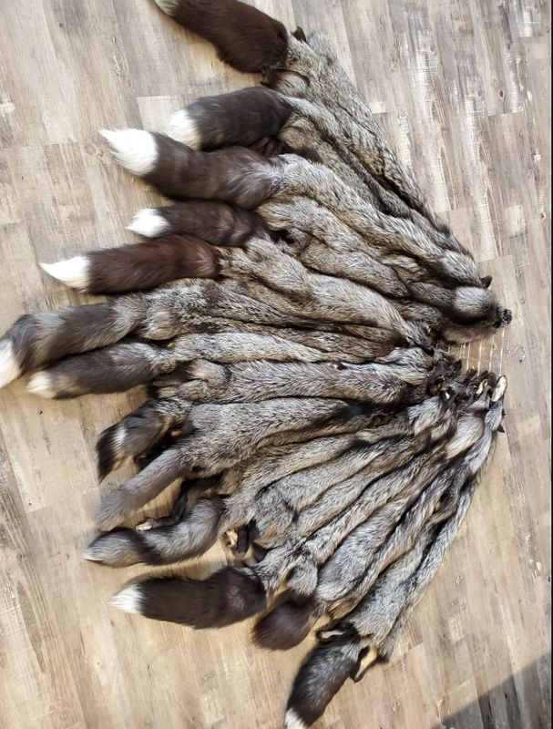 Silver Fox Fur