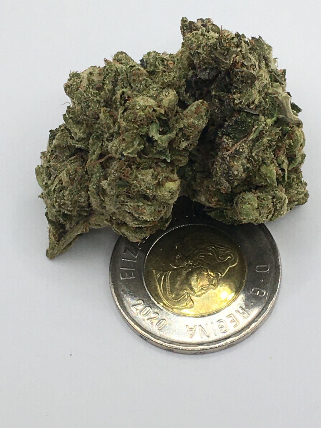 Pink Kush