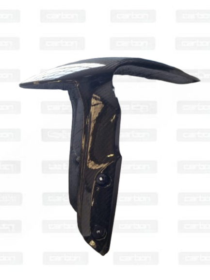 [CRB-170] Parafango anteriore 19