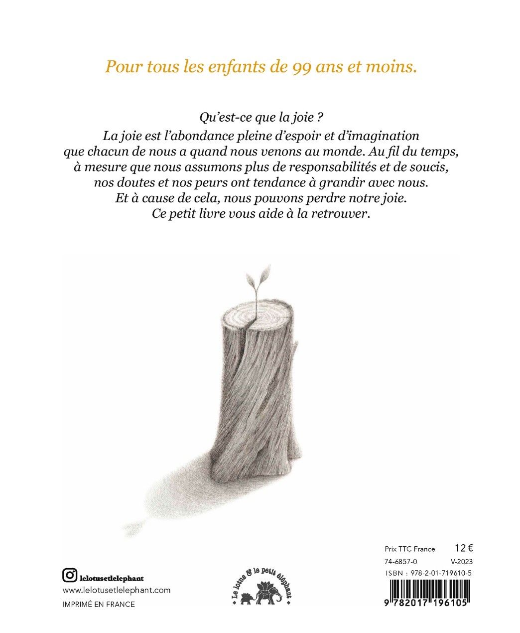 Suivre sa joie (Kobi Yamada)