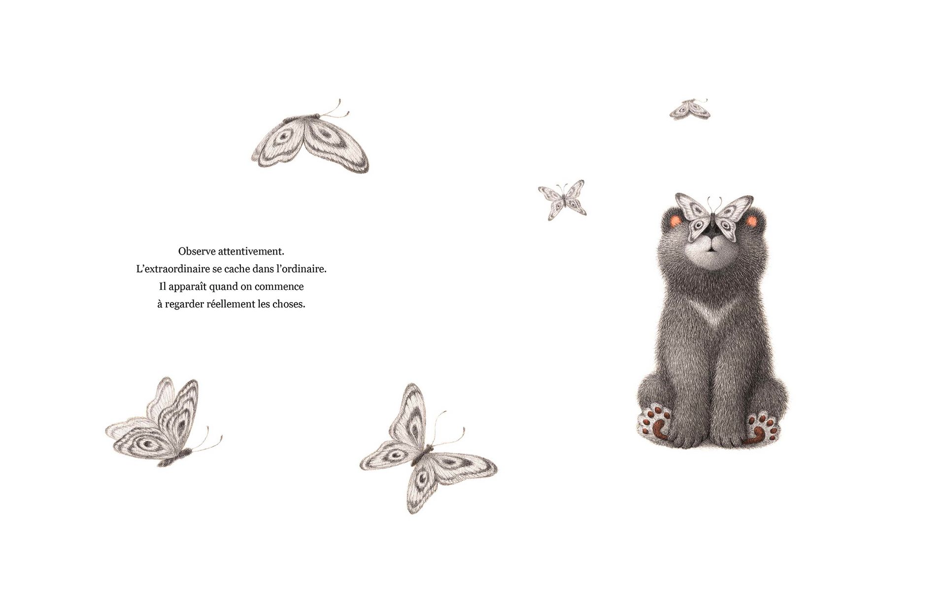 S'émerveiller (Kobi Yamada)