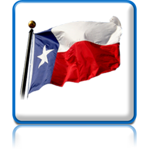 TEXAS NYLON FLAGS