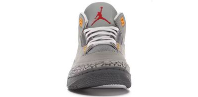 Jordan 3 Retro Cool Grey (2021)