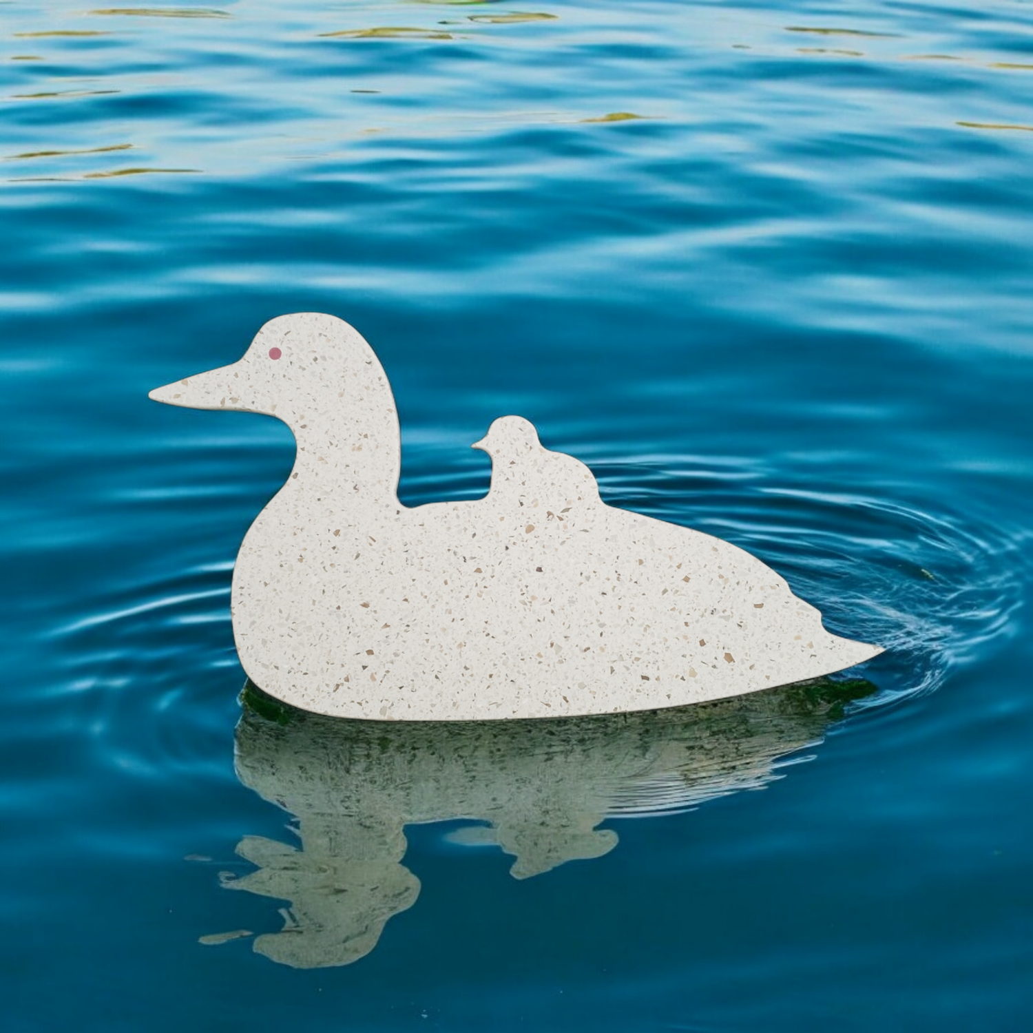 Loon