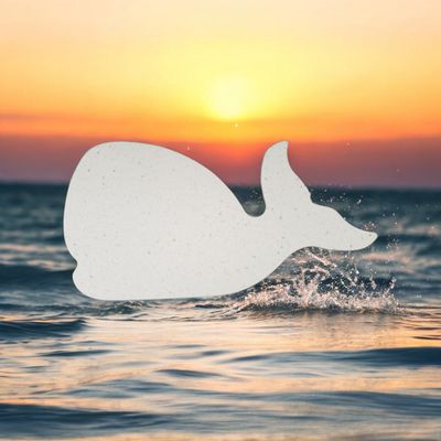 Whale (Moby)
