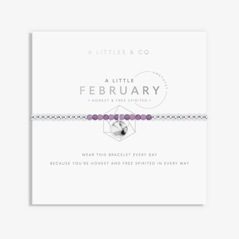 A Little February Bracelet Silver