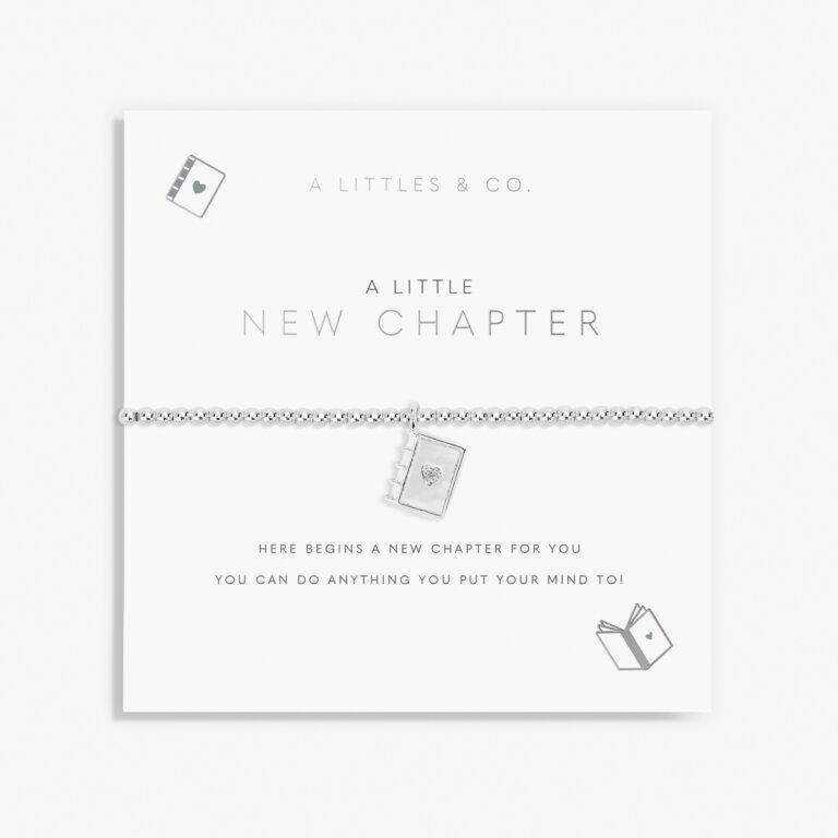 A Little New Chapter Silver