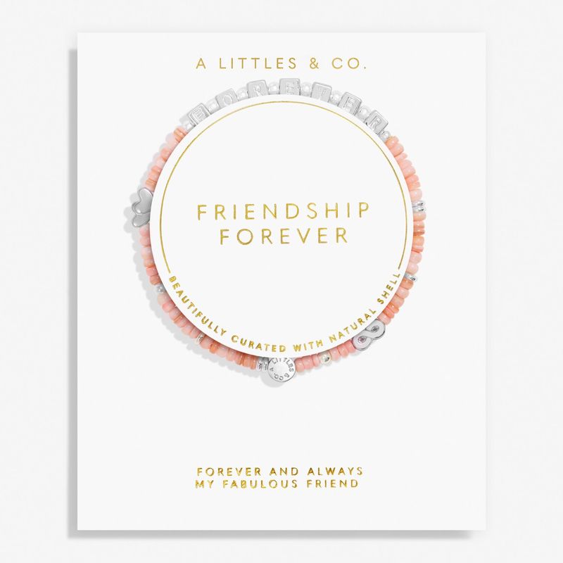 A Little Friendship Forever Bracelet