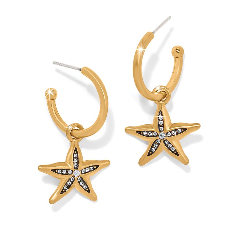 Twilight Starfish Hoop Earrings