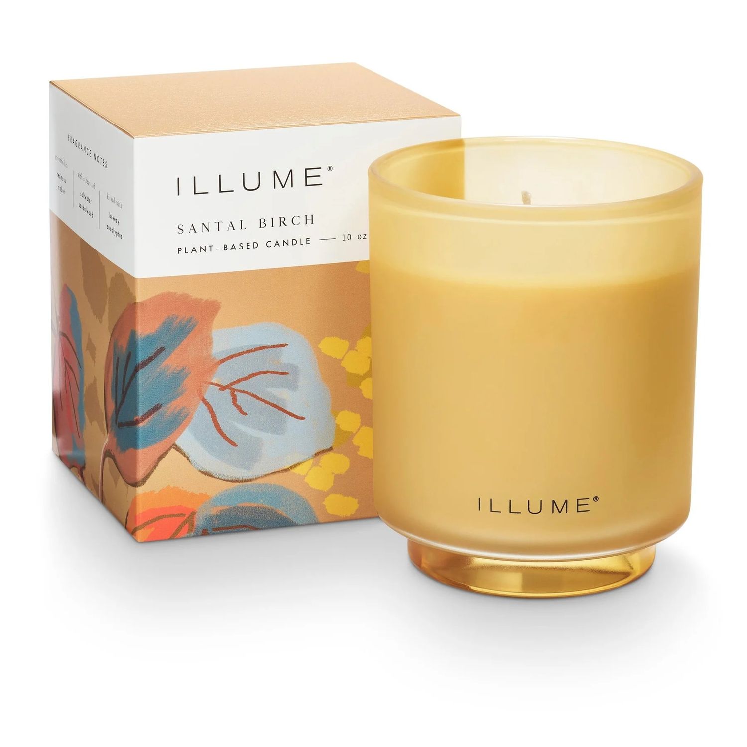 Boxed Glass Candle Santal Birch