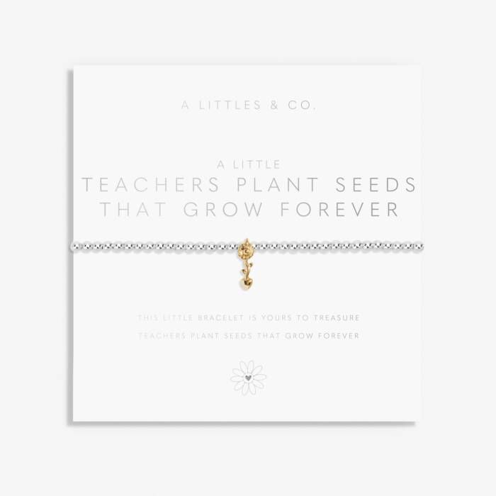 A Little Teachers Plant Seeds That Grow Forever Silver