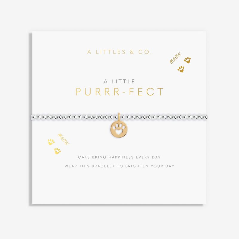 A Little Purrrfect- Silver