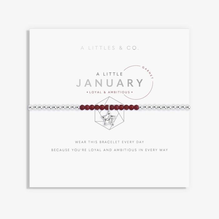 A Little January Bracelet Silver
