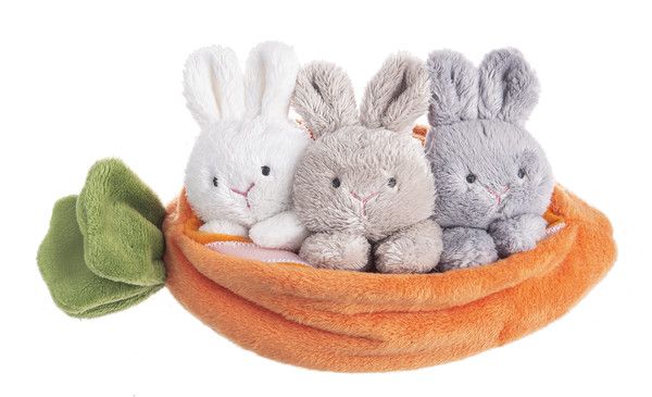 Carrot Grow and Learn Set
