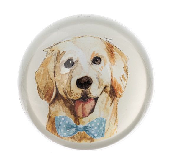 Dog Paperweight, Color: Golden Retriever Blue Bow