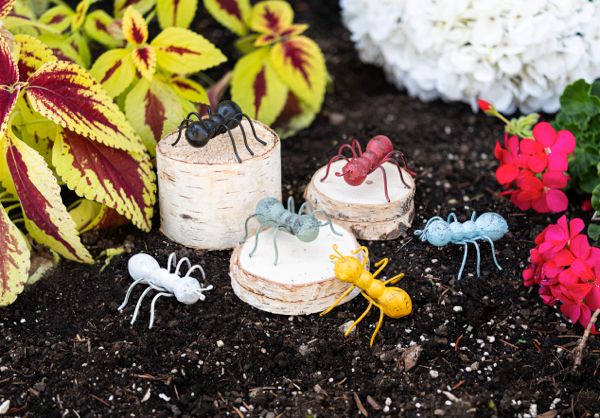 Mini Ant Cast Iron Assorted Colors