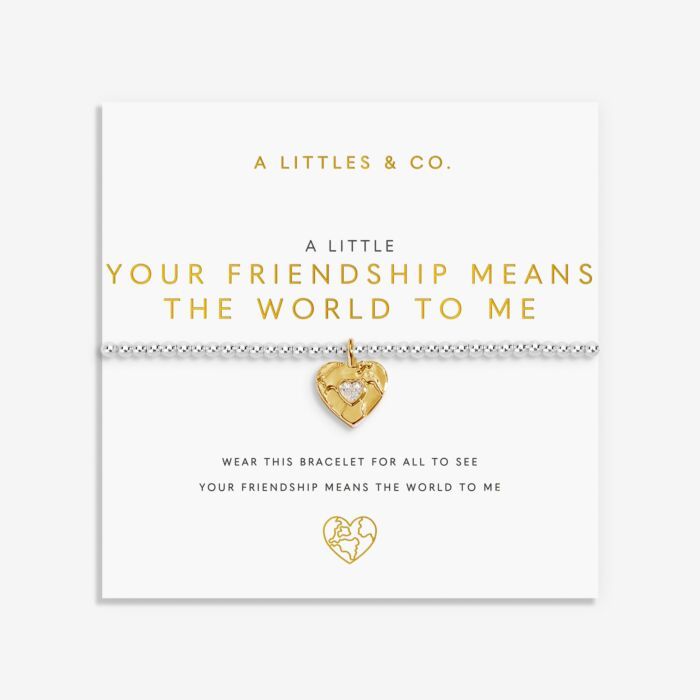 A Little Your Friendship Means The World To Me Bracelet