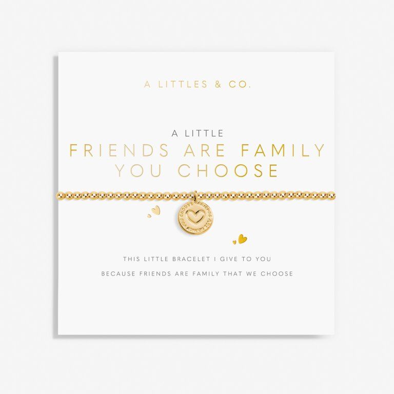 A Little Friends Are Family You Choose Bracelet