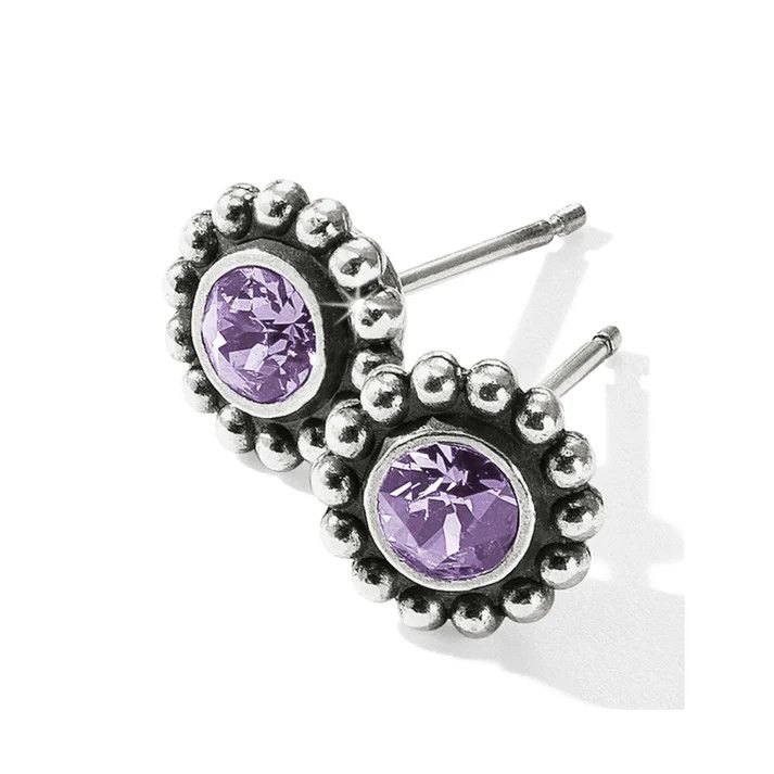 Twinkle Tanzanite Mini Post Earrings