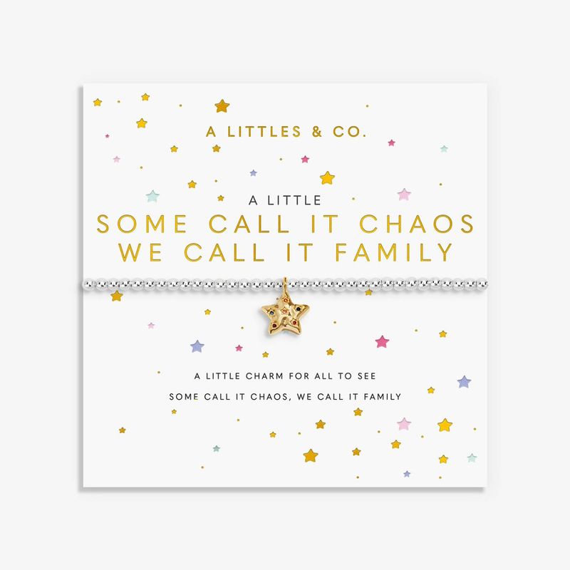 A Little 'Some Call It Chaos We Call It Family' Bracelet In Silver and Gold-Tone Plating