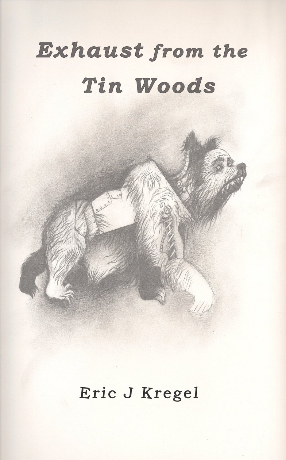 Exhaust from the Tin Woods: Second edition paperback