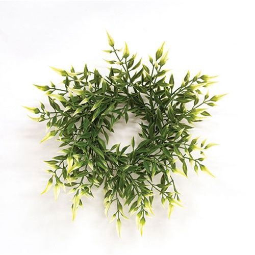 Sprouting Smilax Candle Ring - 3.25&quot;