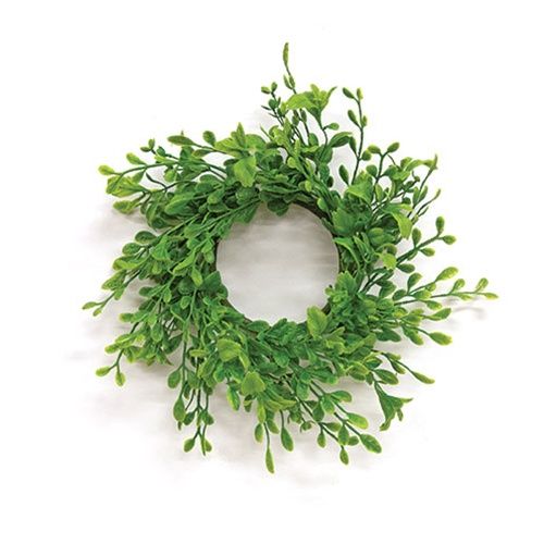 Fresh Sprouted English Boxwood Candle Ring - 3.25&quot;