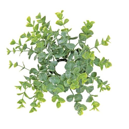 Baby Eucalyptus Candle Ring - 1&quot;