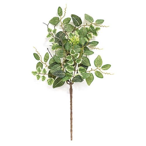 Mixed Ivy &amp; Vine Spray - 20&quot;