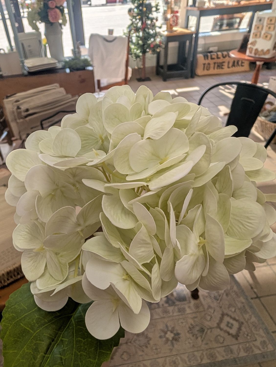Hydrangea Stem