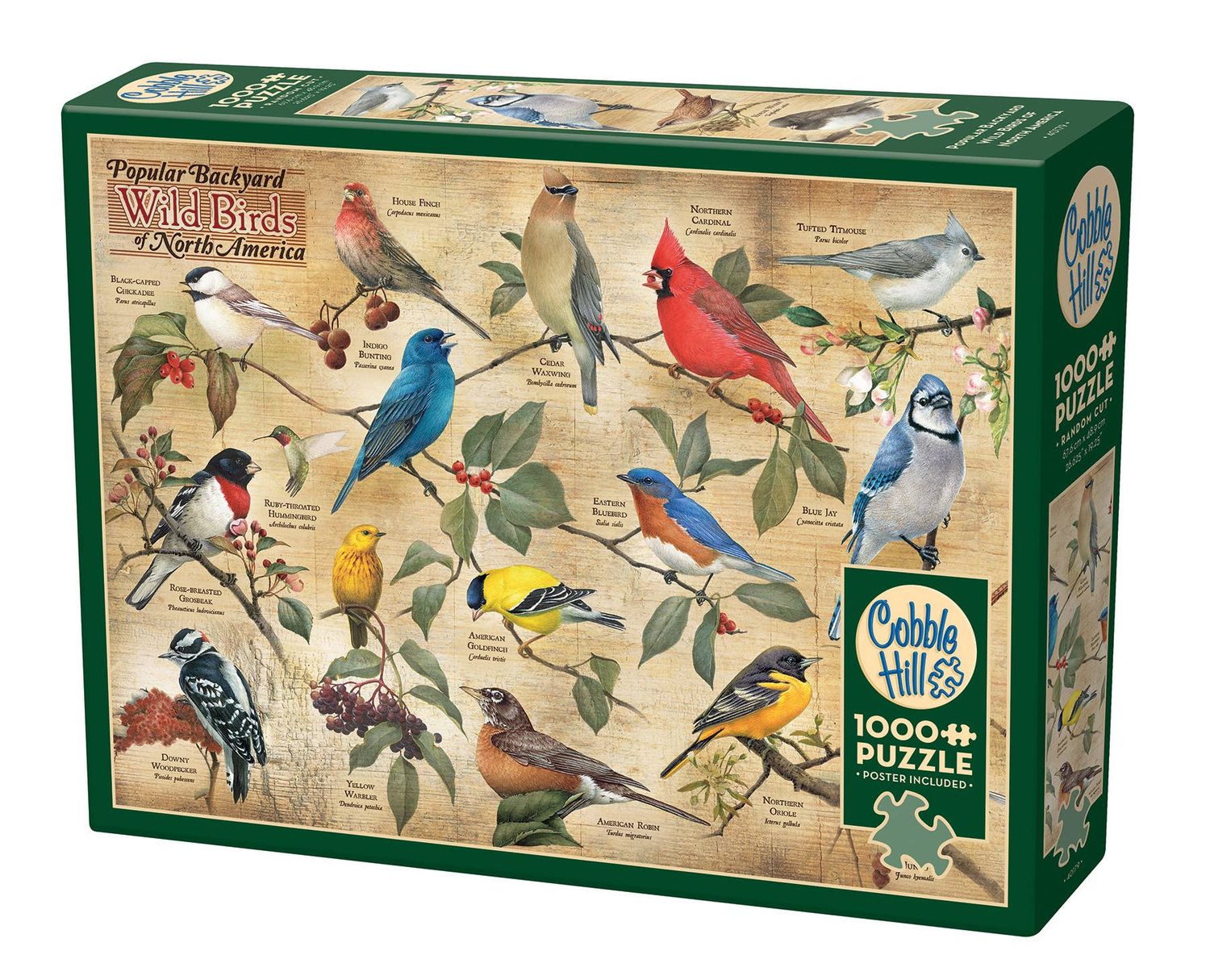 Popular Backyard Wild Birds of NA 1000-Piece Puzzle