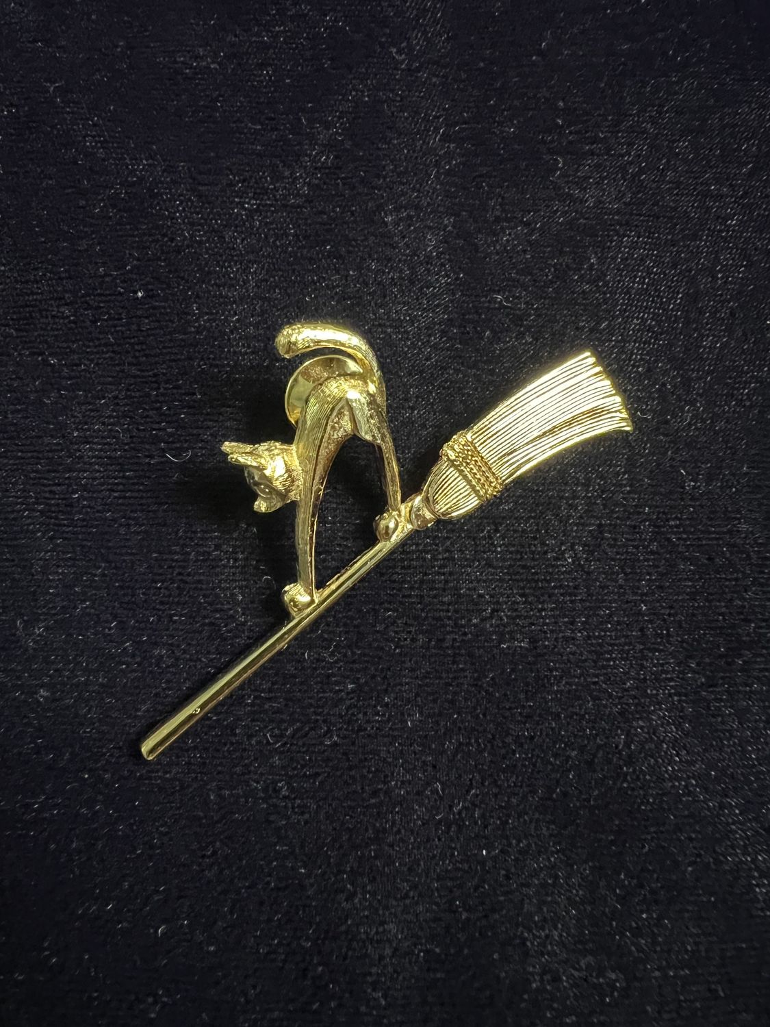 Bewitching cat pin