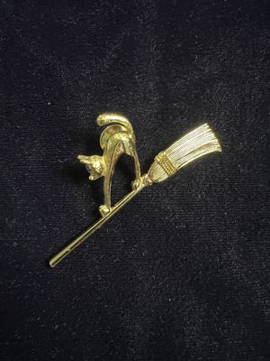 Bewitching cat pin