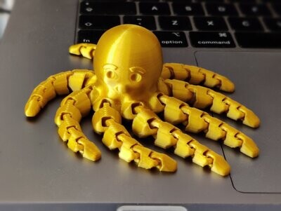 Flexi octopus