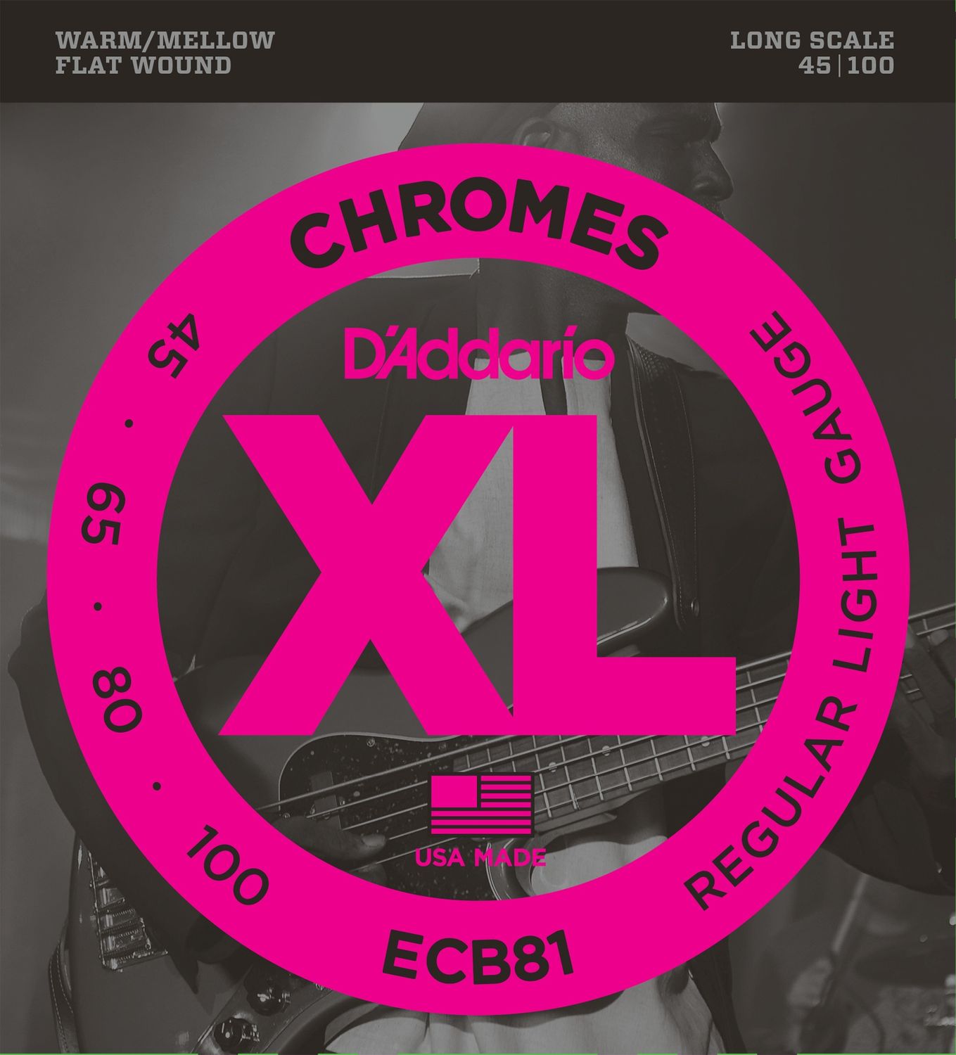 D'Addario ECB81 45-100 Regular Light Gauge Flatwound Bass Strings