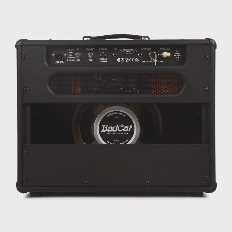 Bad Cat Cub V Handwired 15w EL84 1x12 Combo