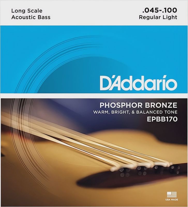 D'Addario EPBB170 45-100 Regular Light Gauge Acoustic Bass Strings