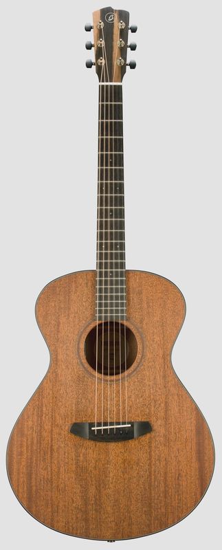 Breedlove Roots Concert RTC-MMe w/ OHSC
