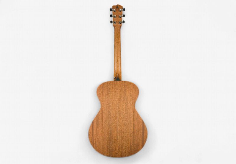 Breedlove Roots Concert RTC-MMe w/ OHSC