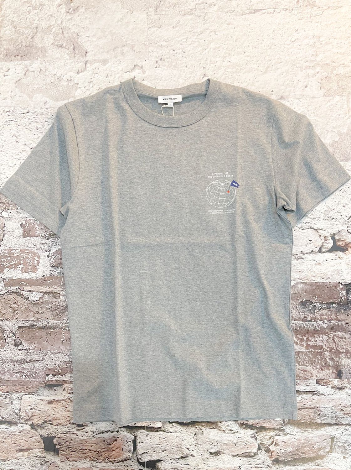Globe Print T-Shirt, Color: Grey Melange, Size: S