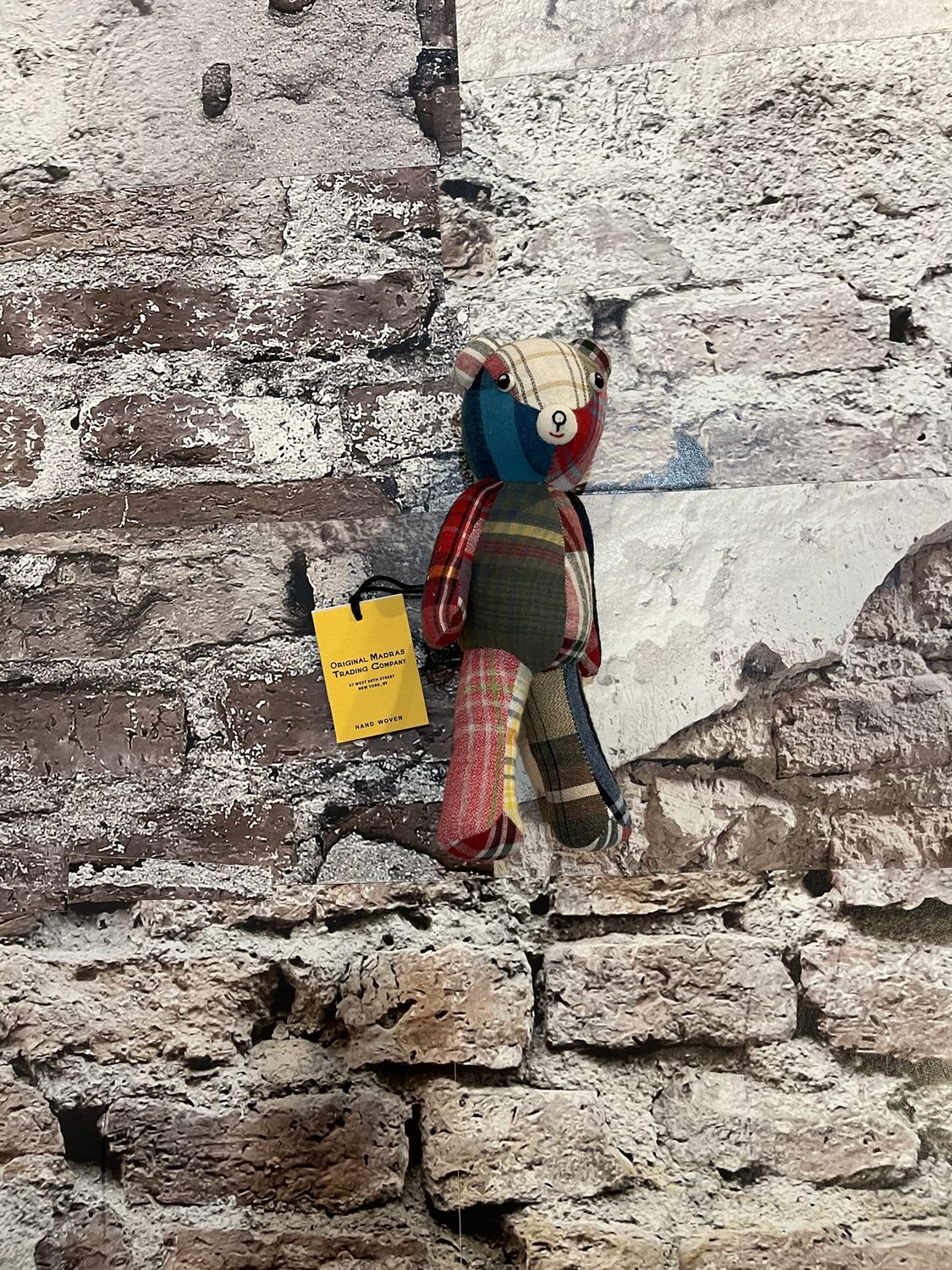 Patch the Madras Bear