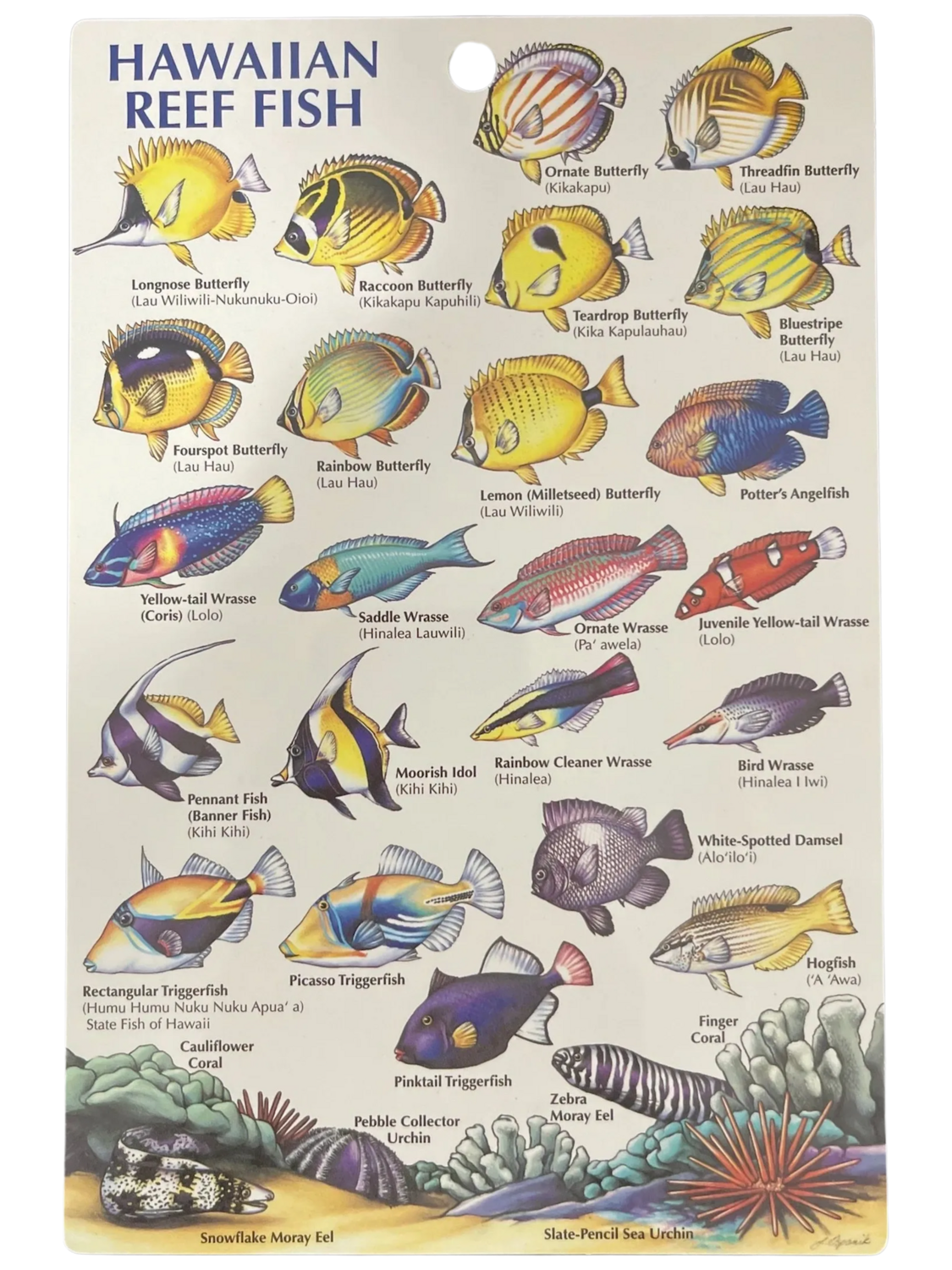 Hawaii Fish ID Card