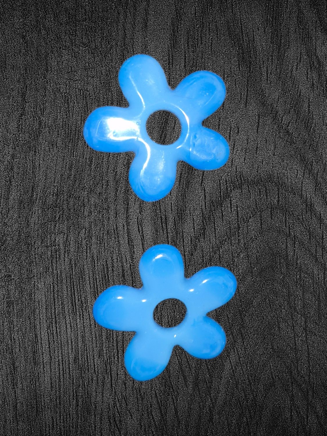 Fleur bleu mer