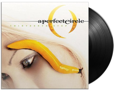 A Perfect Circle - Thirteenth Step