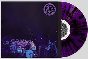 Fuzz - Levitation Sessions