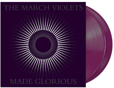 March Violets - Made Glorious