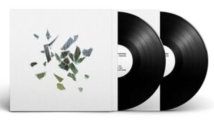 These New Puritans - Field of Reeds